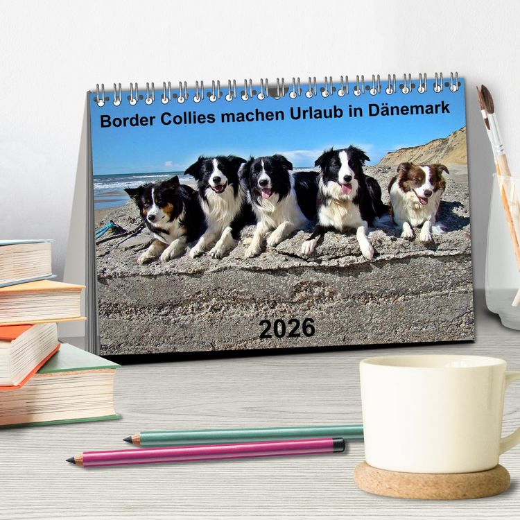Produktbild: Border Collies machen Urlaub in D&auml;nemark (Tischkalender 2026 DIN A5 quer), CALVENDO Monatskalender