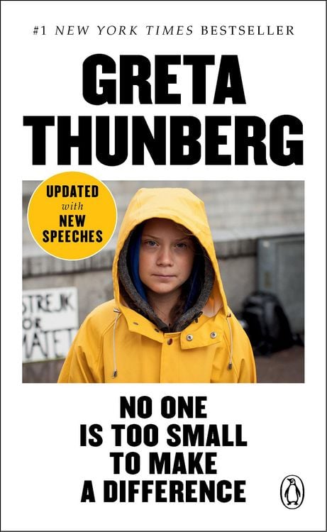 Produktbild: No One Is Too Small to Make a Difference
