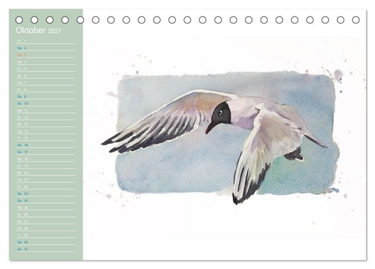 Produktbild: M&ouml;wen - Aquarelle von Julia Pasinski (Tischkalender 2027 DIN A5 quer), CALVENDO Monatskalender