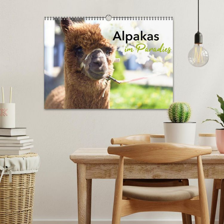Produktbild: Alpakas im Paradies (Wandkalender 2026 DIN A3 quer), CALVENDO Monatskalender