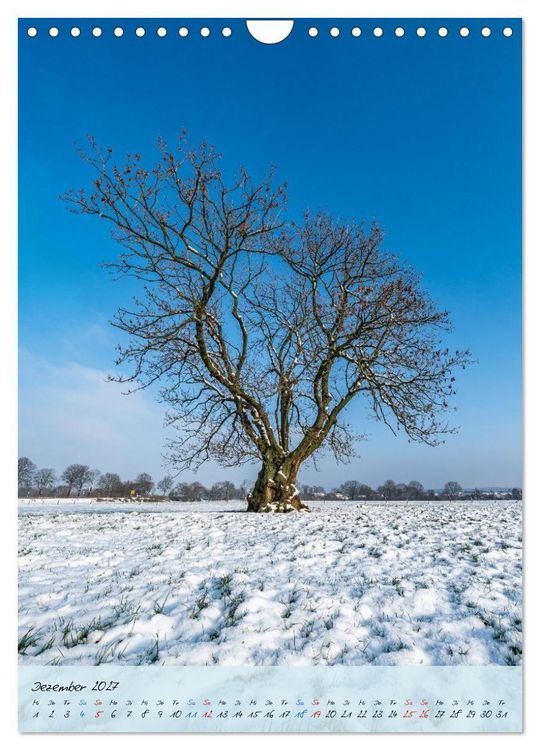 Produktbild: Wassenberger Umland (Wandkalender 2027 DIN A4 hoch), CALVENDO Monatskalender