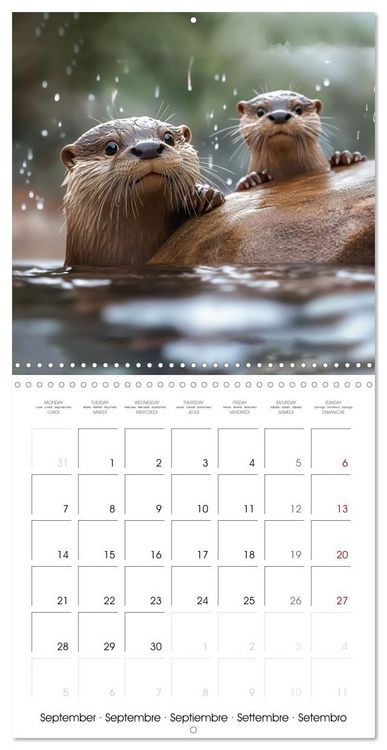 Produktbild: Cute Otter Moments (Wall Calendar 2026 12 &times; 12 Inch) CALVENDO 12 Month Wall Calendar