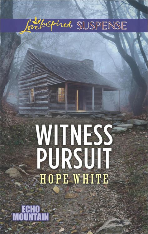 Produktbild: Witness Pursuit
