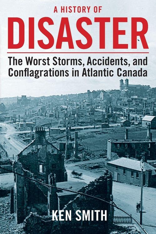 Produktbild: A History of Disaster