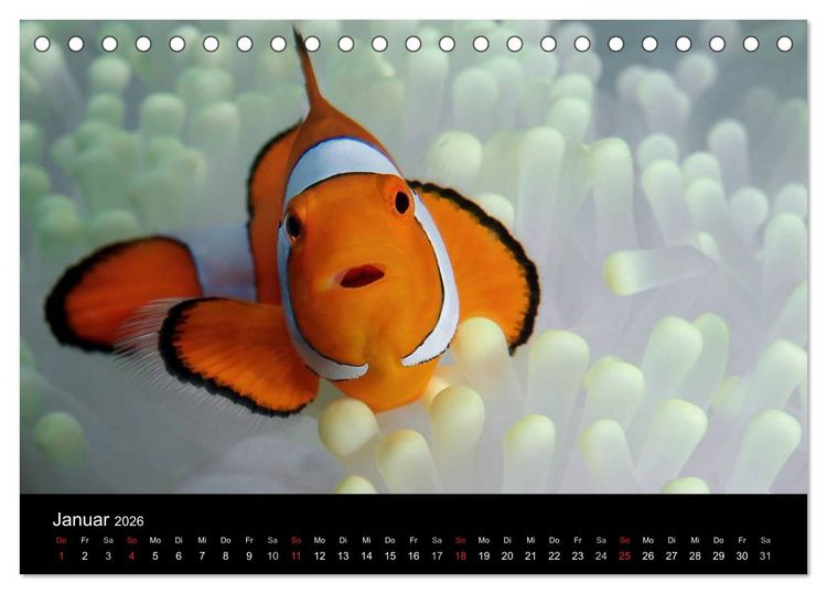 Produktbild: Unterwasser (Tischkalender 2026 DIN A5 quer), CALVENDO Monatskalender