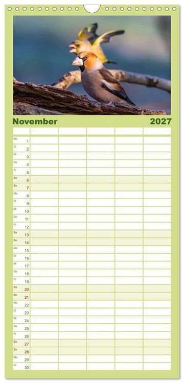 Produktbild: Familienplaner 2027 - Der Kernbei&szlig;er und seine gefiederten Gesellen mit 5 Spalten (Wandkalender, 21 x 45 cm) CALVENDO