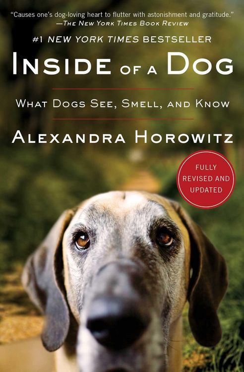Produktbild: Inside of a Dog