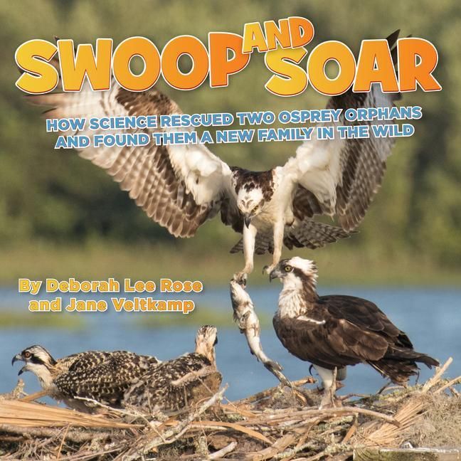 Produktbild: Swoop and Soar