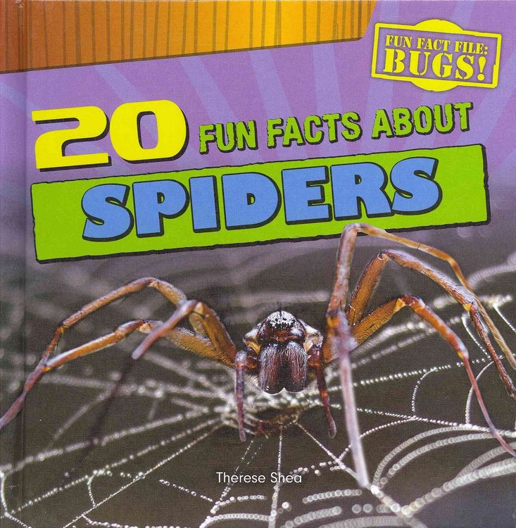 Produktbild: 20 Fun Facts Abt Spiders