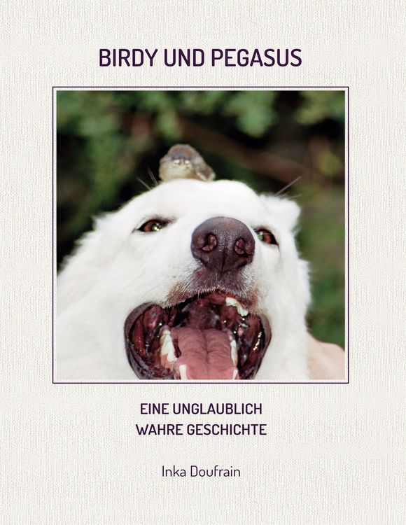 Produktbild: Birdy & Pegasus