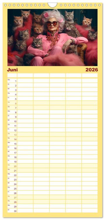 Produktbild: Familienplaner 2026 - Zeit f&uuml;r Party mit 5 Spalten (Wandkalender, 21 x 45 cm) CALVENDO