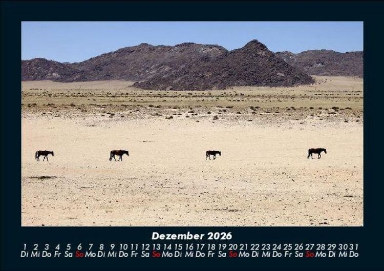 Produktbild: Pferdegefl&uuml;ster 2026 Fotokalender DIN A5