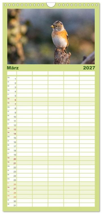 Produktbild: Familienplaner 2027 - Der Kernbei&szlig;er und seine gefiederten Gesellen mit 5 Spalten (Wandkalender, 21 x 45 cm) CALVENDO