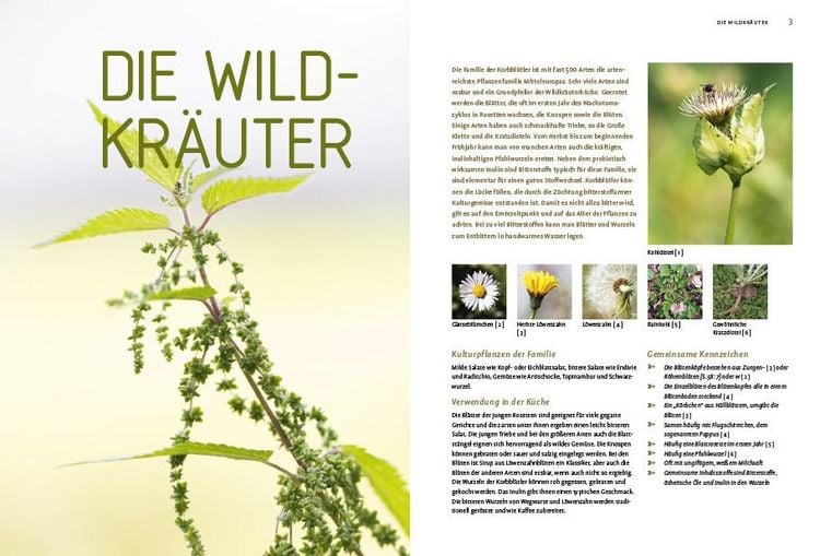 Produktbild: Die gro&szlig;e Wildkr&auml;uter-Kochschule