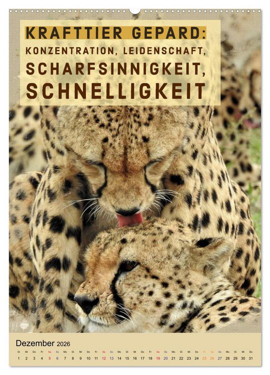 Produktbild: Afrikanische Krafttiere und deren Bedeutung (hochwertiger Premium Wandkalender 2026 DIN A2 hoch), Kunstdruck in Hochglanz