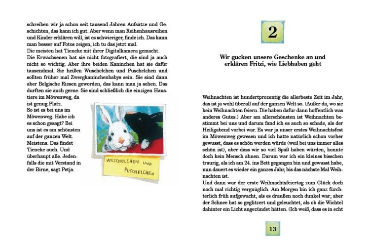 Produktbild: Ein neues Jahr im M&ouml;wenweg / M&ouml;wenweg Band 5