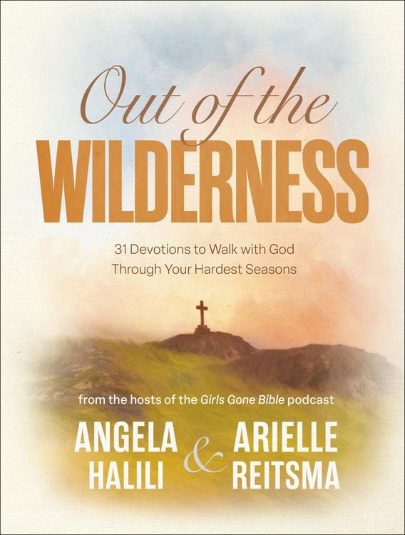 Produktbild: Out of the Wilderness