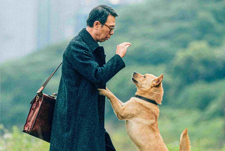 Produktbild: Hachiko - Eine Freundschaft f&uuml;r die Ewigkeit! (2023)