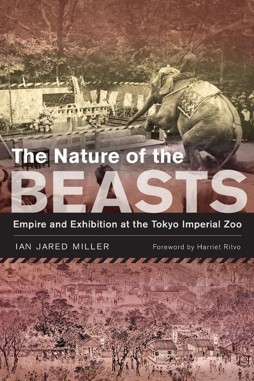 Produktbild: The Nature of the Beasts