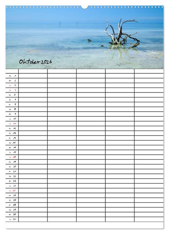 Produktbild: Idyllisches Florida / Familienplaner (Wandkalender 2026 DIN A2 hoch), CALVENDO Monatskalender