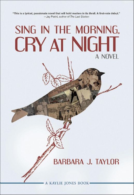 Produktbild: Sing in the Morning, Cry at Night