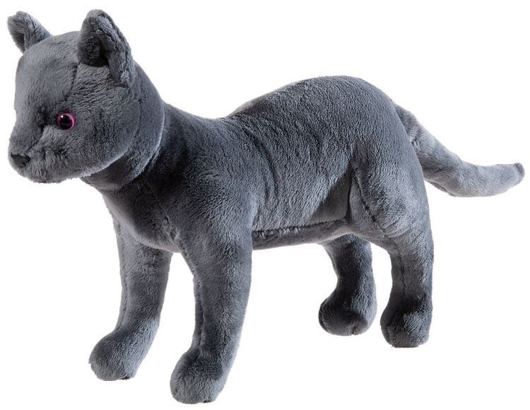 Produktbild: Heunec 621169 - Katze Karajan, Schule der magischen Tiere, Pl&uuml;schtier, 30 cm