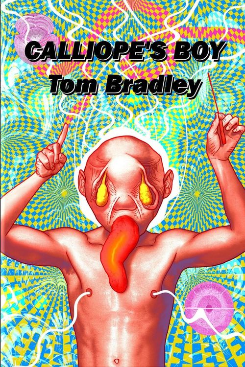 Produktbild: Calliope's Boy