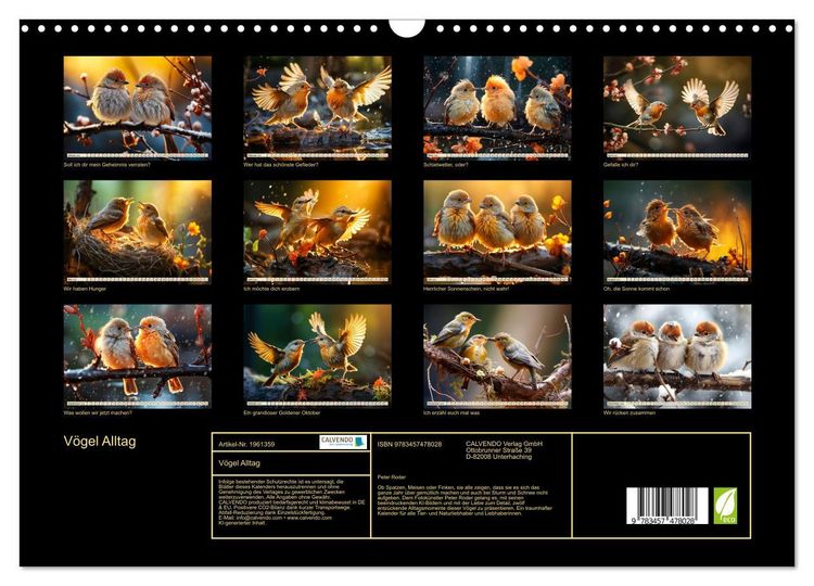 Produktbild: V&ouml;gel Alltag (Wandkalender 2026 DIN A3 quer), CALVENDO Monatskalender
