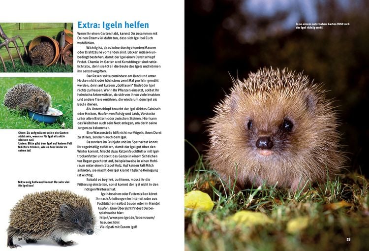 Produktbild: Entdecke die Igel