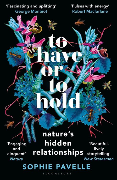 Produktbild: To Have or To Hold