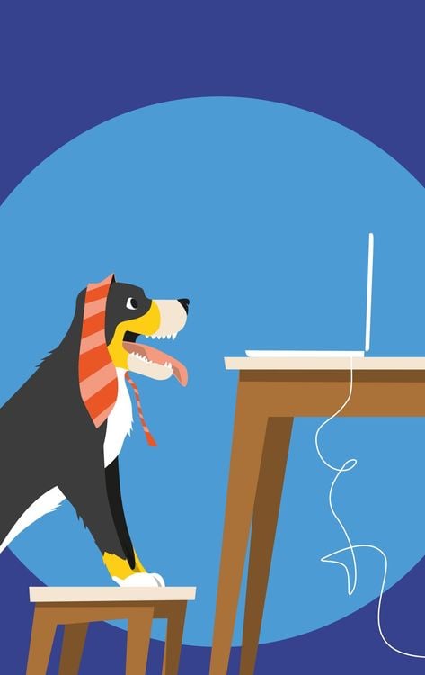 Produktbild: Unten Ohne &ndash; Geschichten aus dem Homeoffice