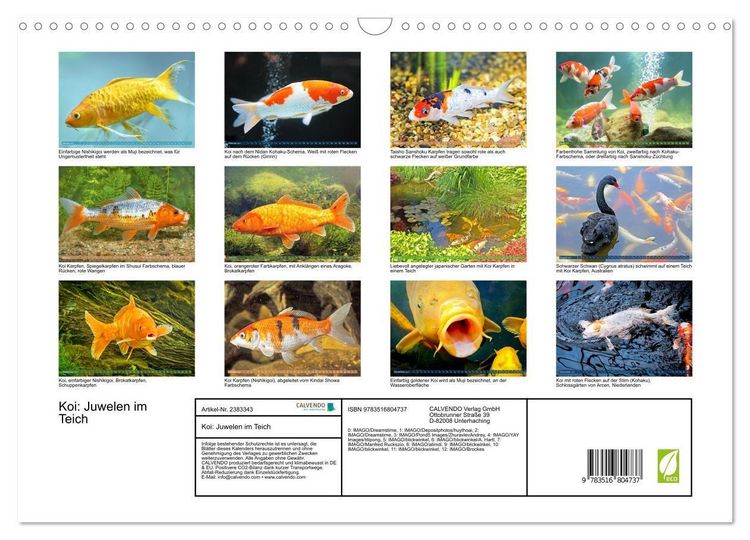 Produktbild: Koi: Juwelen im Teich (Wandkalender 2027 DIN A3 quer), CALVENDO Monatskalender