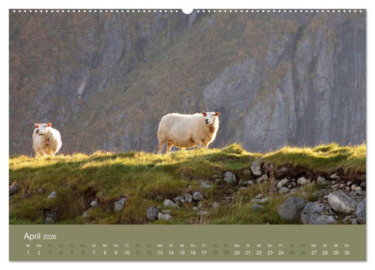 Produktbild: Unter Schafen - Wegbegleiter auf Reisen (Wandkalender 2026 DIN A2 quer), CALVENDO Monatskalender