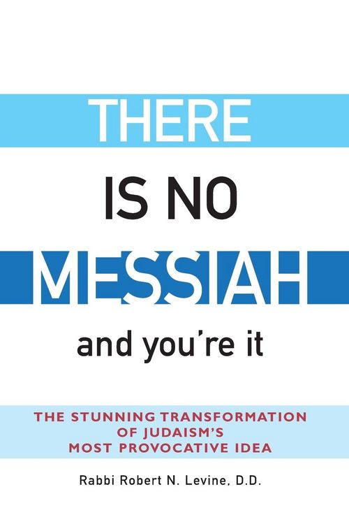 Produktbild: There Is No Messiah-and You're It