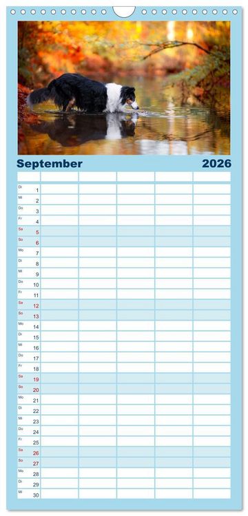 Produktbild: Familienplaner 2026 - H&uuml;tehunde - H&uuml;ter der Herzen mit 5 Spalten (Wandkalender, 21 x 45 cm) CALVENDO