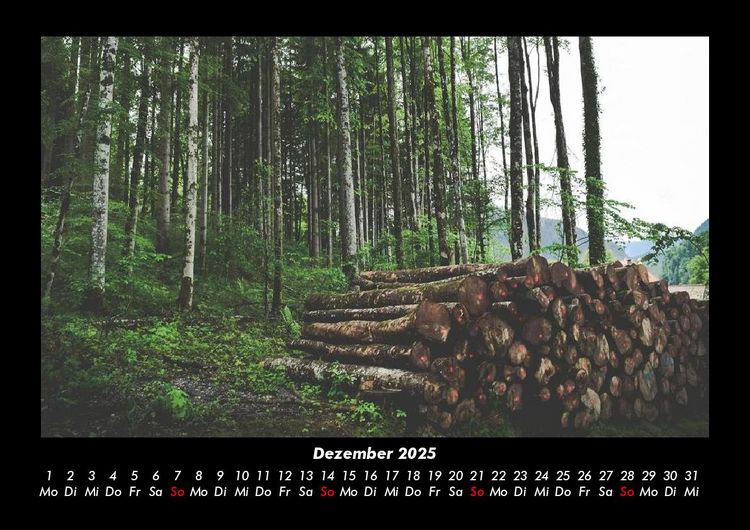 Produktbild: B&auml;ume 2025 Fotokalender DIN A3