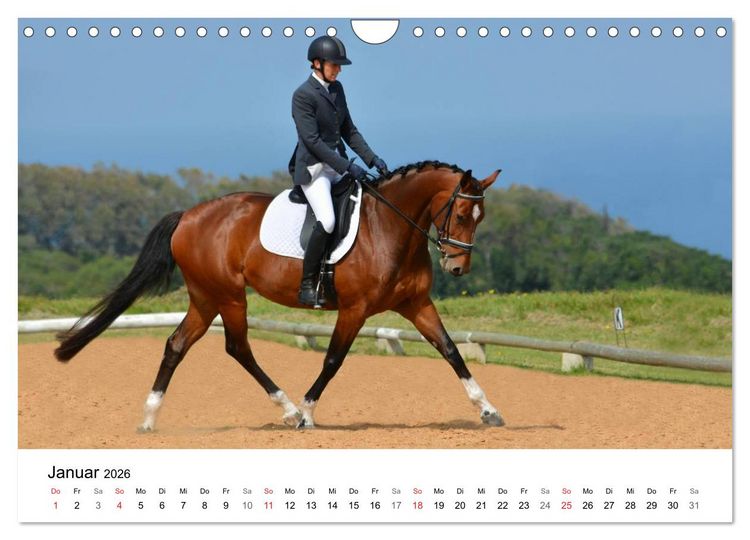 Produktbild: Vielseitigkeitsreiten (Wandkalender 2026 DIN A4 quer), CALVENDO Monatskalender
