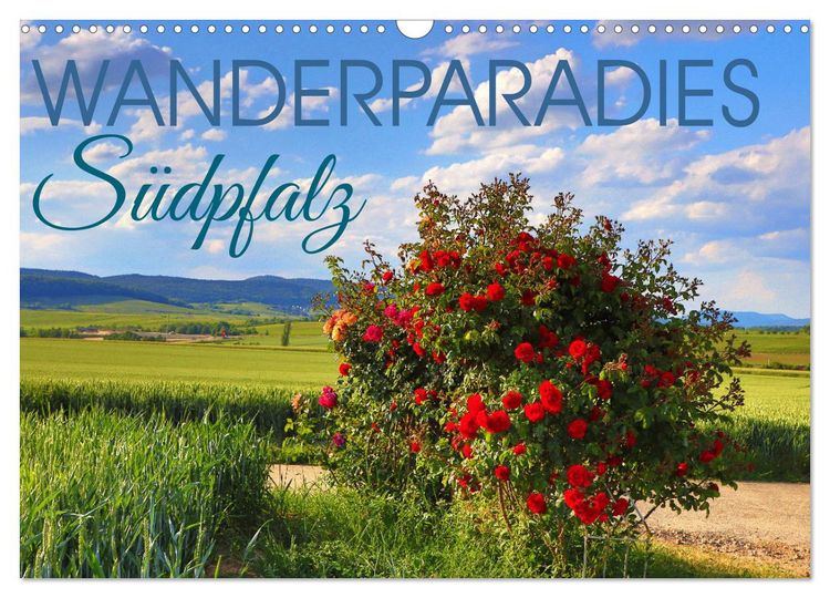 Produktbild: Wanderparadies S&uuml;dpfalz (Wandkalender 2026 DIN A3 quer), CALVENDO Monatskalender