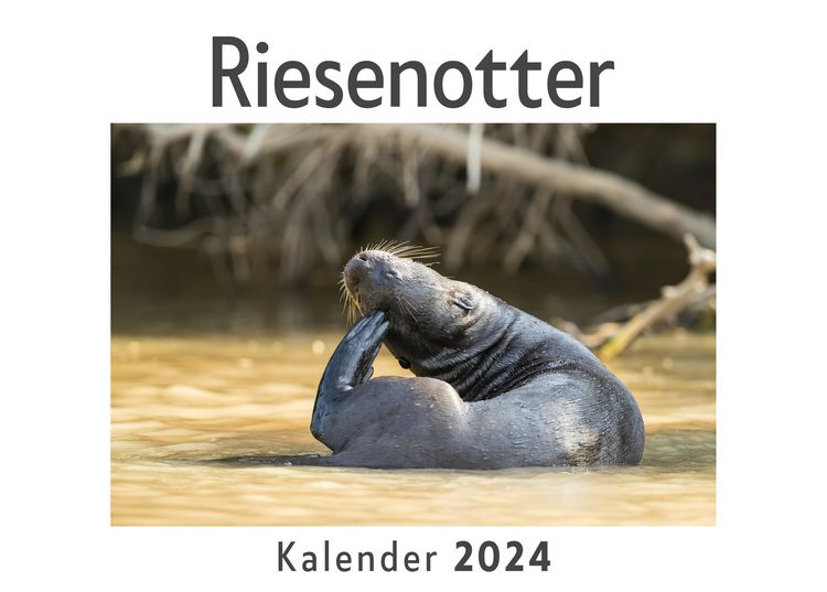 Produktbild: Riesenotter (Wandkalender 2024, Kalender DIN A4 quer, Monatskalender im Querformat mit Kalendarium, Das perfekte Geschenk)