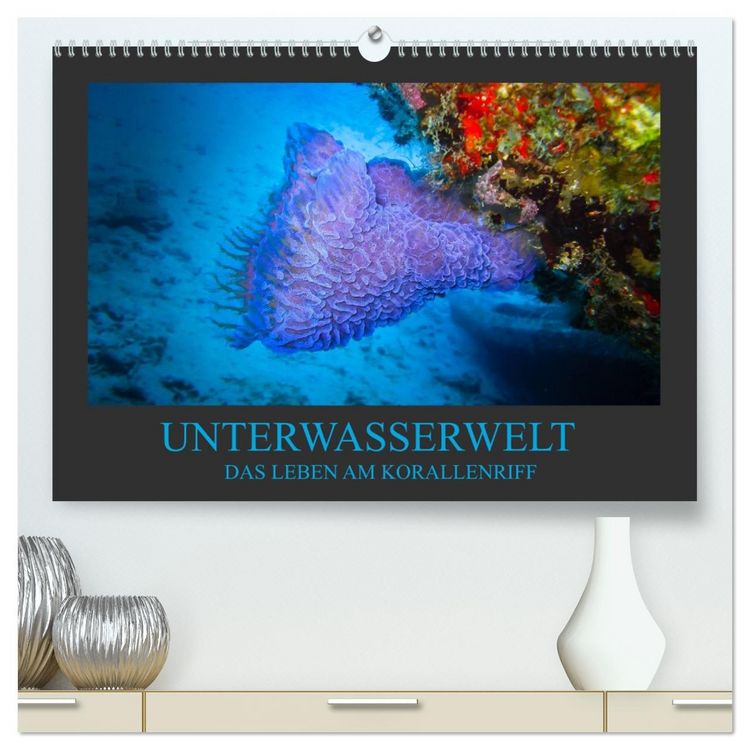 Produktbild: Unterwasserwelt - Das Leben am Korallenriff (hochwertiger Premium Wandkalender 2026 DIN A2 quer), Kunstdruck in Hochglanz