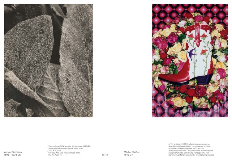Produktbild: On View