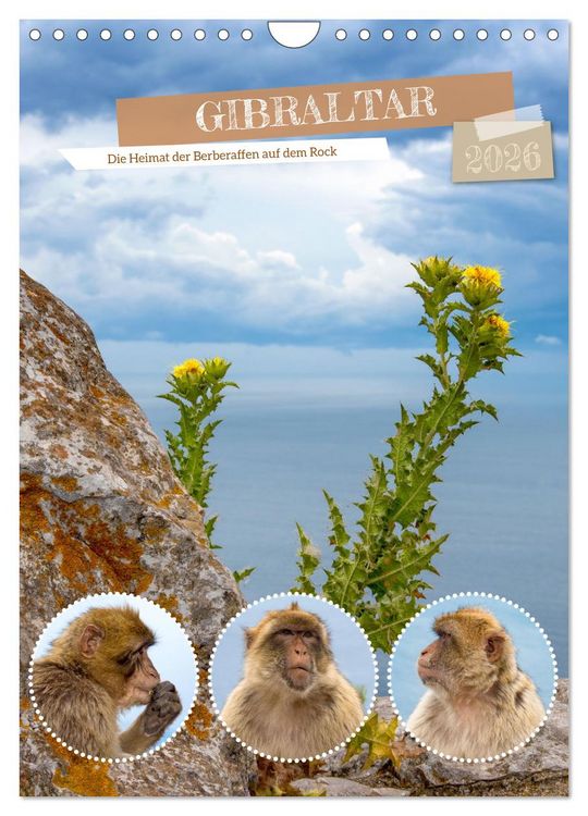 Produktbild: Gibraltar - Die Heimat der Berberaffen auf dem Rock (Wandkalender 2026 DIN A4 hoch), CALVENDO Monatskalender