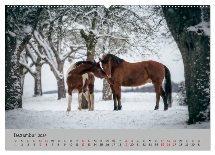 Produktbild: Spiegel deiner Seele (hochwertiger Premium Wandkalender 2026 DIN A2 quer), Kunstdruck in Hochglanz