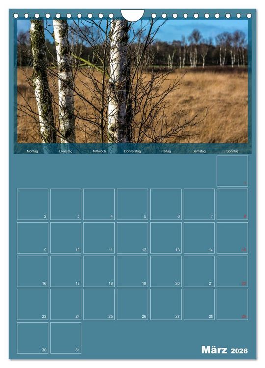 Produktbild: Worpswede - K&uuml;nstlerdorf unter weitem Himmel (Wandkalender 2026 DIN A4 hoch), CALVENDO Monatskalender