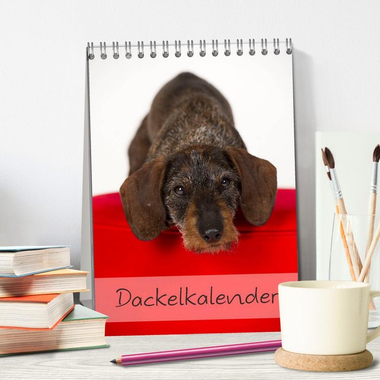 Produktbild: Dackel (Tischkalender 2026 DIN A5 hoch), CALVENDO Monatskalender
