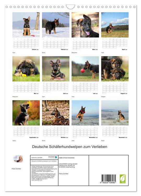 Produktbild: Deutsche Sch&auml;ferhundwelpen zum Verlieben (Wandkalender 2026 DIN A3 hoch), CALVENDO Monatskalender