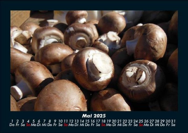 Produktbild: Pilzkalender 2025 Fotokalender DIN A5