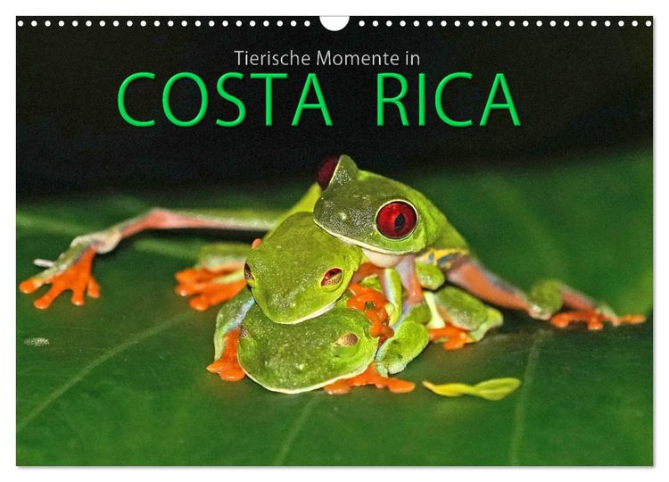 Produktbild: COSTA RICA - Tierische Momente (Wandkalender 2026 DIN A3 quer), CALVENDO Monatskalender