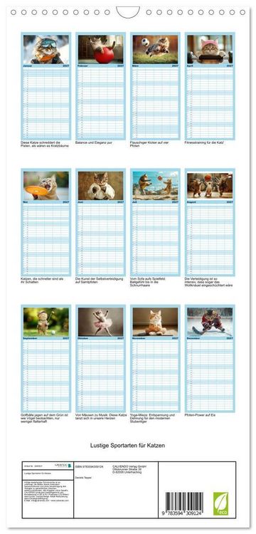 Produktbild: Familienplaner 2027 - Lustige Sportarten f&uuml;r Katzen mit 5 Spalten (Wandkalender, 21 x 45 cm) CALVENDO