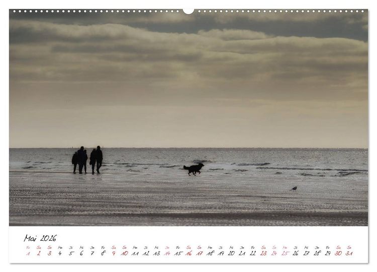 Produktbild: Naturpark Wattenmeer und Helgoland (Wandkalender 2026 DIN A2 quer), CALVENDO Monatskalender
